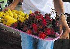 Иллюстрация к книге — Travel-журналистика. Путешествуйте и зарабатывайте [i_103.jpg]