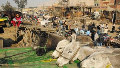 Иллюстрация к книге — Travel-журналистика. Путешествуйте и зарабатывайте [i_115.jpg]