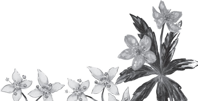 Иллюстрация к книге — Спор животных. С вопросами и ответами для почемучек [i_002.jpg]