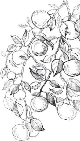 Иллюстрация к книге — Спор животных. С вопросами и ответами для почемучек [i_004.jpg]