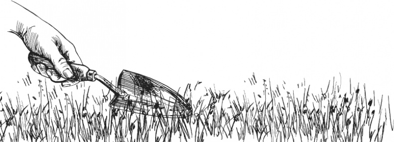 Иллюстрация к книге — Спор животных. С вопросами и ответами для почемучек [i_007.jpg]