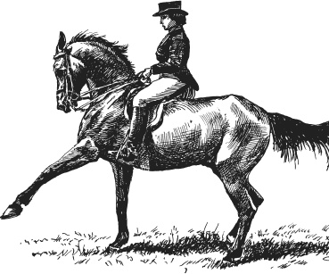 Иллюстрация к книге — Спор животных. С вопросами и ответами для почемучек [i_023.jpg]