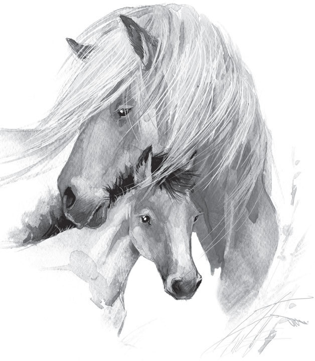 Иллюстрация к книге — Спор животных. С вопросами и ответами для почемучек [i_025.jpg]