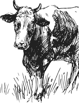 Иллюстрация к книге — Спор животных. С вопросами и ответами для почемучек [i_029.jpg]