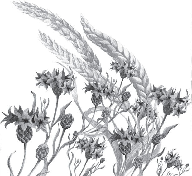 Иллюстрация к книге — Спор животных. С вопросами и ответами для почемучек [i_030.jpg]