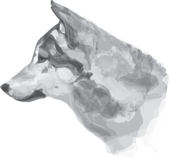 Иллюстрация к книге — Спор животных. С вопросами и ответами для почемучек [i_031.jpg]