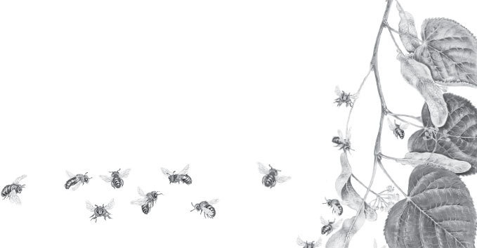 Иллюстрация к книге — Спор животных. С вопросами и ответами для почемучек [i_037.jpg]