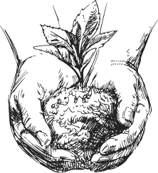 Иллюстрация к книге — Спор животных. С вопросами и ответами для почемучек [i_055.jpg]