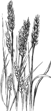 Иллюстрация к книге — Спор животных. С вопросами и ответами для почемучек [i_056.jpg]