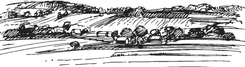 Иллюстрация к книге — Спор животных. С вопросами и ответами для почемучек [i_057.jpg]