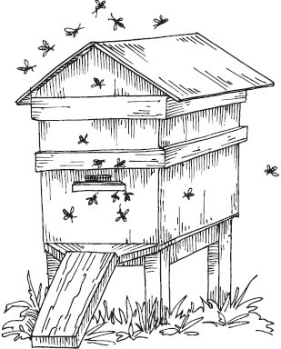 Иллюстрация к книге — Спор животных. С вопросами и ответами для почемучек [i_058.jpg]