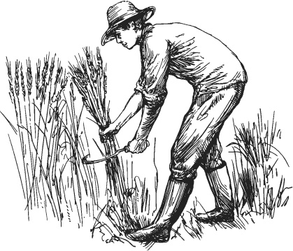 Иллюстрация к книге — Спор животных. С вопросами и ответами для почемучек [i_062.jpg]