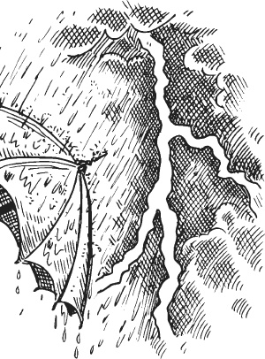 Иллюстрация к книге — Спор животных. С вопросами и ответами для почемучек [i_064.jpg]