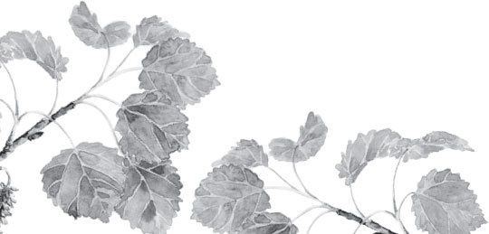 Иллюстрация к книге — Спор животных. С вопросами и ответами для почемучек [i_066.jpg]