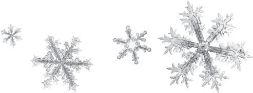 Иллюстрация к книге — Спор животных. С вопросами и ответами для почемучек [i_070.jpg]