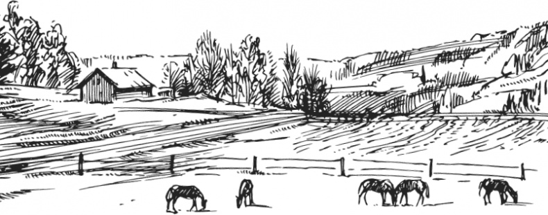 Иллюстрация к книге — Спор животных. С вопросами и ответами для почемучек [i_075.jpg]