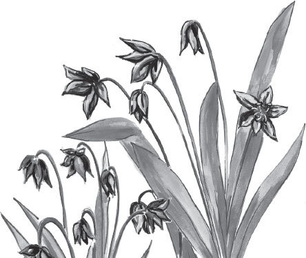 Иллюстрация к книге — Спор животных. С вопросами и ответами для почемучек [i_077.jpg]