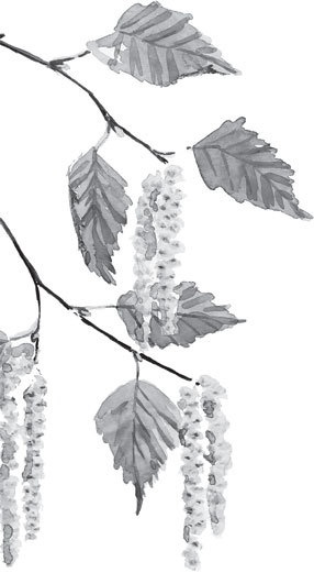 Иллюстрация к книге — Спор животных. С вопросами и ответами для почемучек [i_078.jpg]