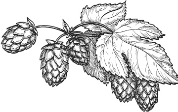 Иллюстрация к книге — Спор животных. С вопросами и ответами для почемучек [i_083.jpg]