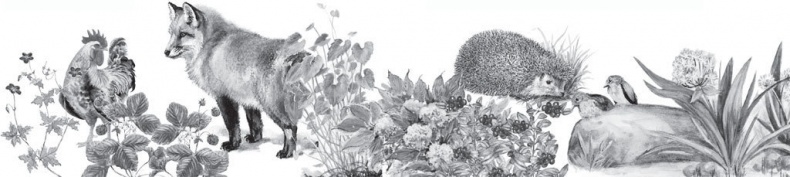 Иллюстрация к книге — Спор животных. С вопросами и ответами для почемучек [i_086.jpg]