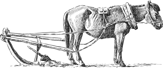 Иллюстрация к книге — Спор животных. С вопросами и ответами для почемучек [i_089.jpg]