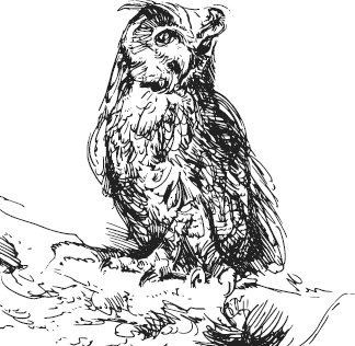 Иллюстрация к книге — Спор животных. С вопросами и ответами для почемучек [i_091.jpg]