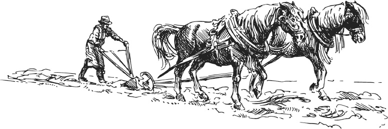 Иллюстрация к книге — Спор животных. С вопросами и ответами для почемучек [i_102.jpg]