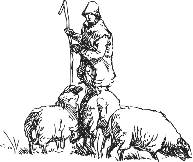 Иллюстрация к книге — Спор животных. С вопросами и ответами для почемучек [i_103.jpg]