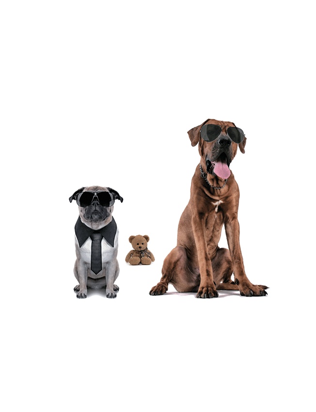 Иллюстрация к книге — Наши бедные богатые дети [i_006.jpg]