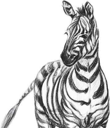 Иллюстрация к книге — Беспризорная кошка (сборник). С вопросами и ответами для почемучек [_11.jpg]