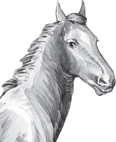 Иллюстрация к книге — Беспризорная кошка (сборник). С вопросами и ответами для почемучек [_12.jpg]