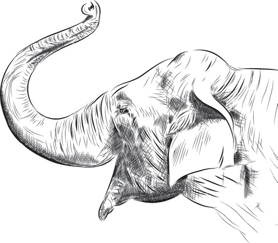 Иллюстрация к книге — Беспризорная кошка (сборник). С вопросами и ответами для почемучек [_14.jpg]