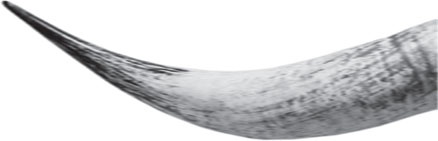 Иллюстрация к книге — Беспризорная кошка (сборник). С вопросами и ответами для почемучек [_16.jpg]