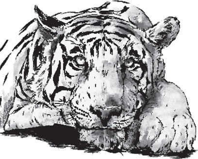 Иллюстрация к книге — Беспризорная кошка (сборник). С вопросами и ответами для почемучек [_21.jpg]