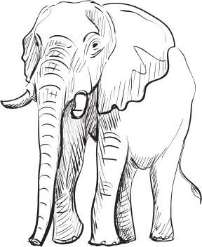 Иллюстрация к книге — Беспризорная кошка (сборник). С вопросами и ответами для почемучек [_30.jpg]