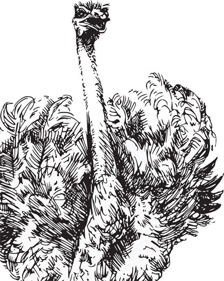 Иллюстрация к книге — Беспризорная кошка (сборник). С вопросами и ответами для почемучек [_34.jpg]