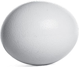 Иллюстрация к книге — Беспризорная кошка (сборник). С вопросами и ответами для почемучек [_36.jpg]