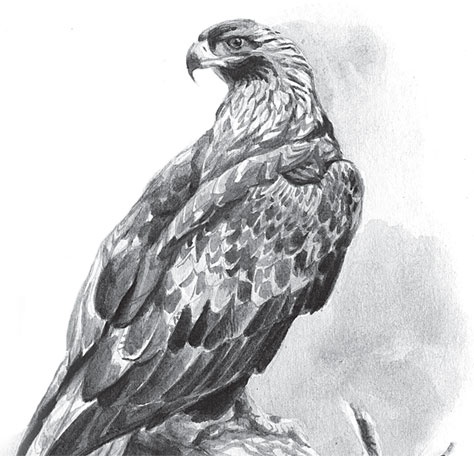 Иллюстрация к книге — Беспризорная кошка (сборник). С вопросами и ответами для почемучек [_4.jpg]