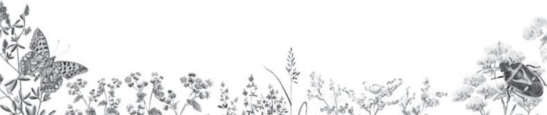 Иллюстрация к книге — Беспризорная кошка (сборник). С вопросами и ответами для почемучек [_45.jpg]