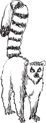 Иллюстрация к книге — Беспризорная кошка (сборник). С вопросами и ответами для почемучек [_48.jpg]