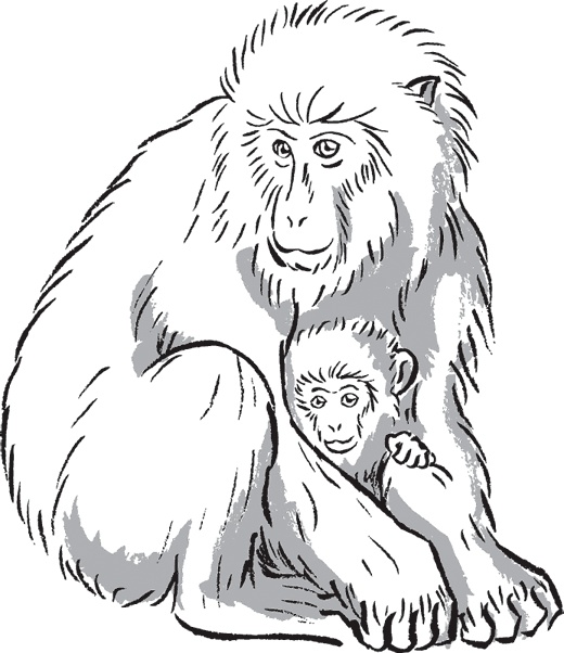 Иллюстрация к книге — Беспризорная кошка (сборник). С вопросами и ответами для почемучек [_50.jpg]