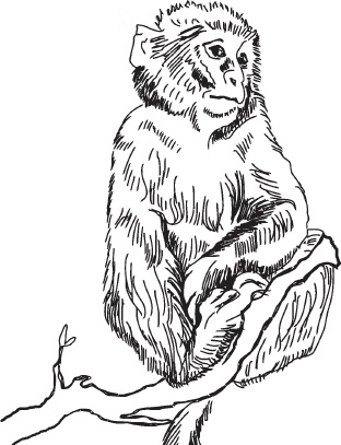 Иллюстрация к книге — Беспризорная кошка (сборник). С вопросами и ответами для почемучек [_53.jpg]