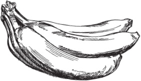 Иллюстрация к книге — Беспризорная кошка (сборник). С вопросами и ответами для почемучек [_55.jpg]