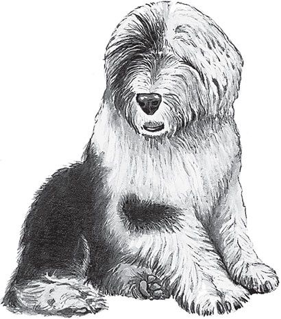 Иллюстрация к книге — Беспризорная кошка (сборник). С вопросами и ответами для почемучек [_58.jpg]