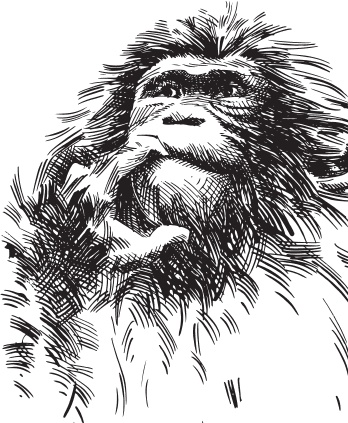 Иллюстрация к книге — Беспризорная кошка (сборник). С вопросами и ответами для почемучек [_67.jpg]