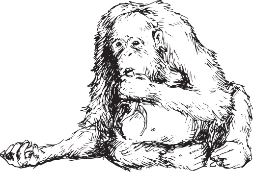 Иллюстрация к книге — Беспризорная кошка (сборник). С вопросами и ответами для почемучек [_68.jpg]