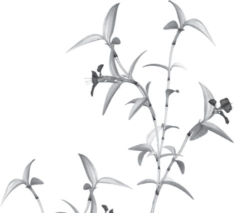 Иллюстрация к книге — Беспризорная кошка (сборник). С вопросами и ответами для почемучек [_69.jpg]