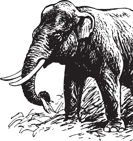 Иллюстрация к книге — Беспризорная кошка (сборник). С вопросами и ответами для почемучек [_79.jpg]