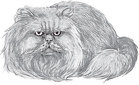 Иллюстрация к книге — Беспризорная кошка (сборник). С вопросами и ответами для почемучек [_83.jpg]