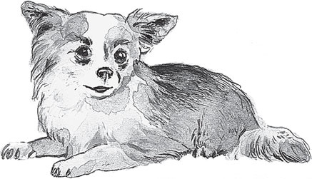 Иллюстрация к книге — Беспризорная кошка (сборник). С вопросами и ответами для почемучек [_87.jpg]